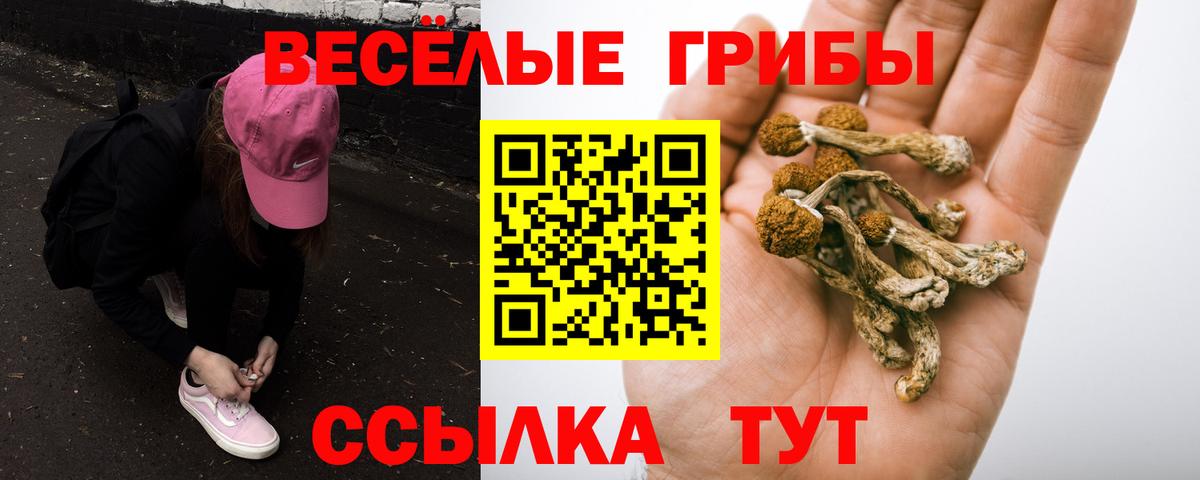 Галлюциногенные грибы GOLDEN TEACHER  Вход с VPN  Минусинск 